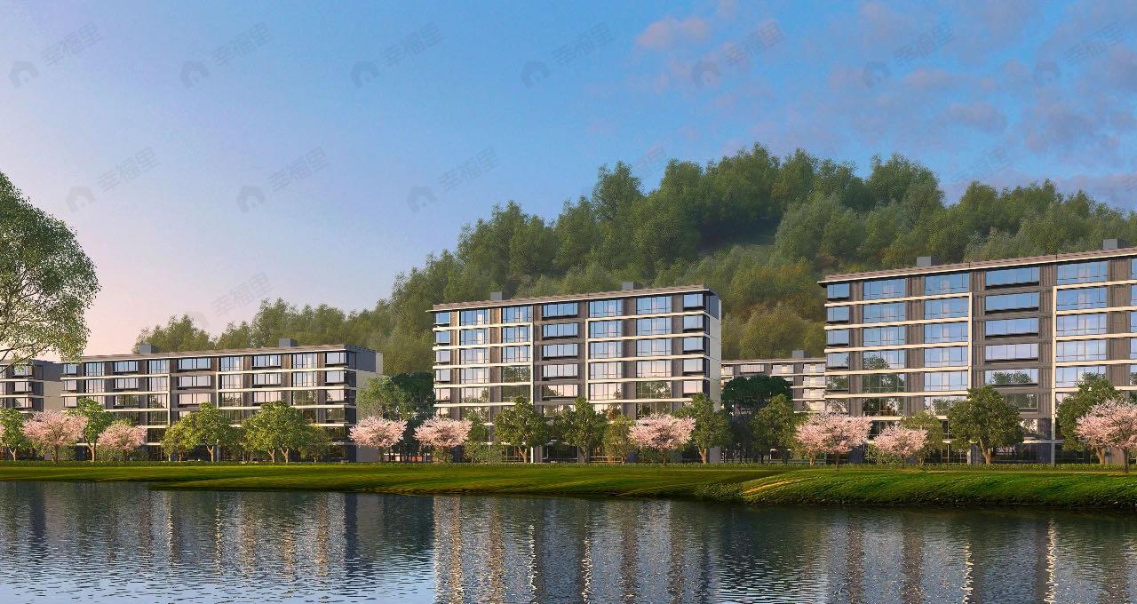 大家钱江满园效果图