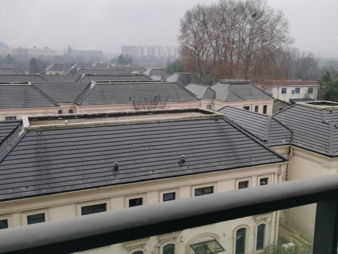 整租·绿城柳岸晓风