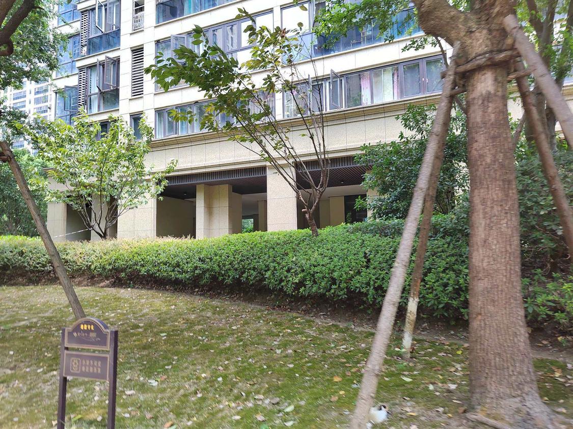 整租·中央华府