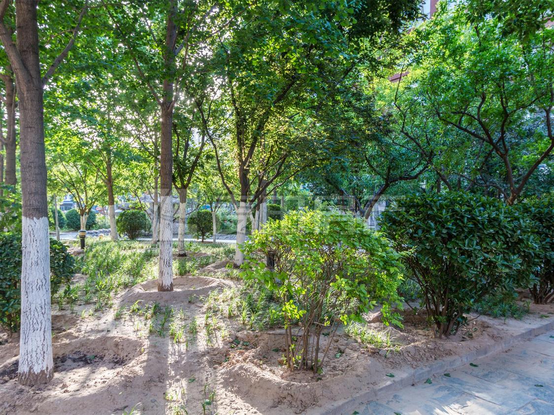 整租·新纪元家园