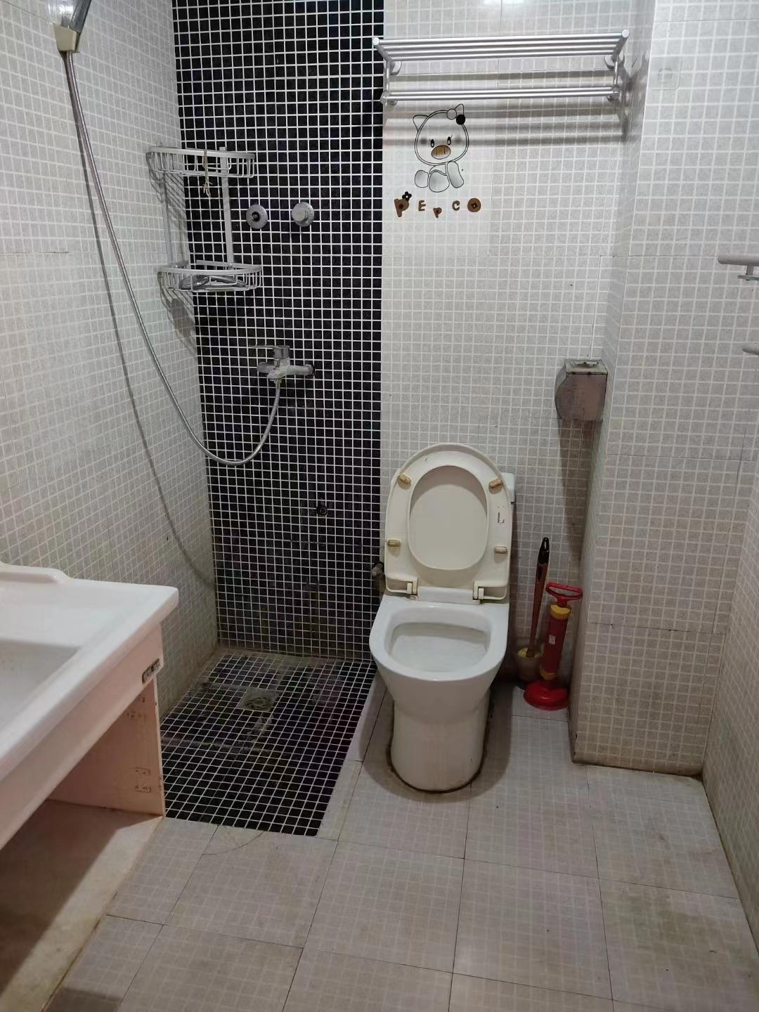 整租·两淮新城