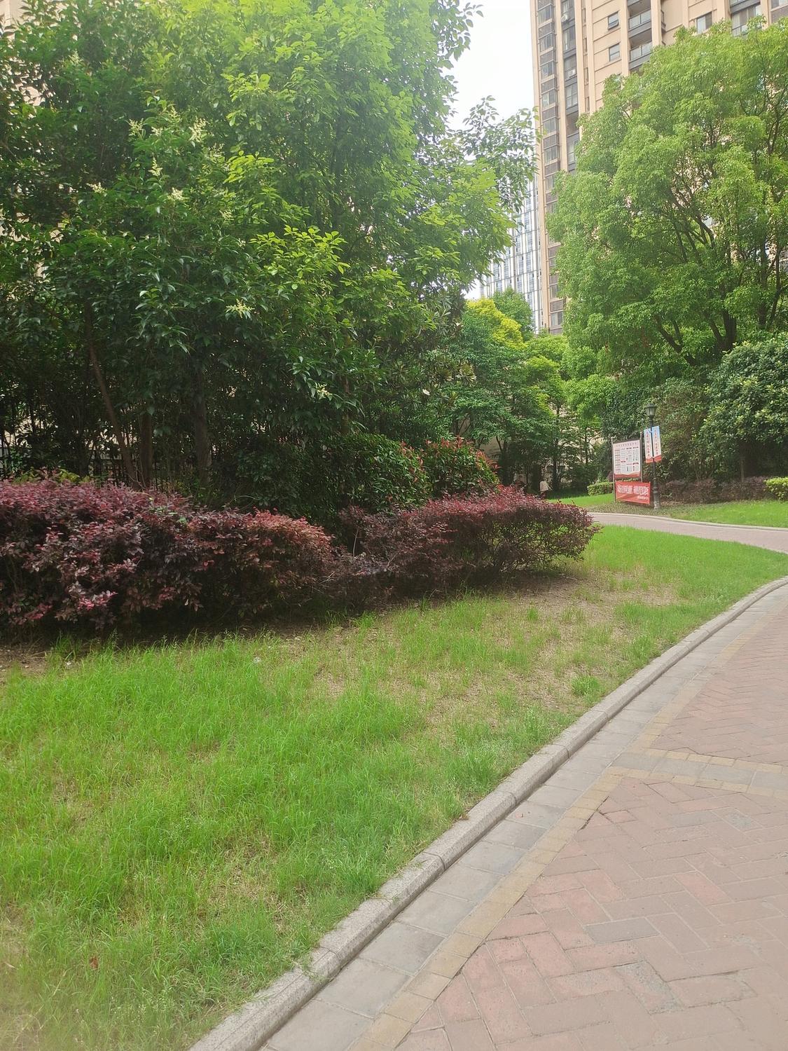 整租·万达华府