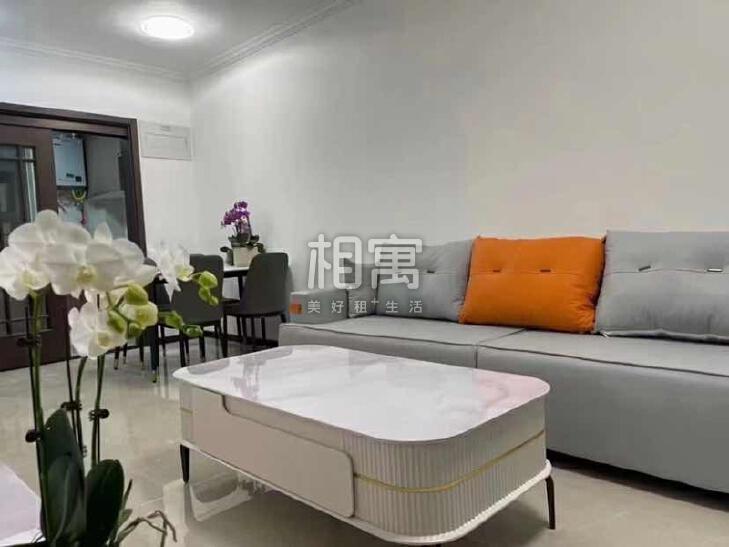 合租·城市经典