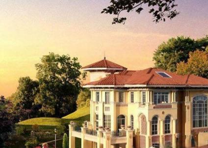 上海佘山东紫园松江 佘山/建面554平-1090平