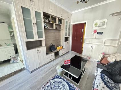 城北柴达木路整租 萨尔斯堡1室0厅/40平/中楼层