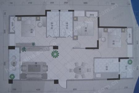 建面100平户型图