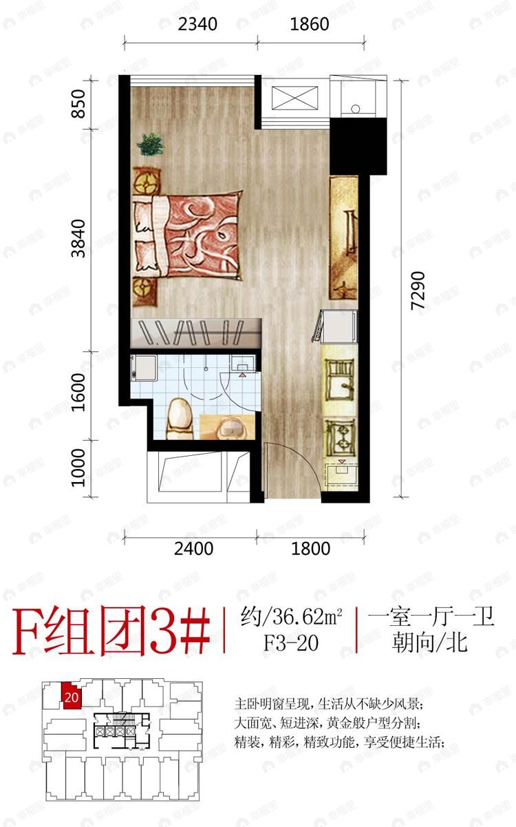建面36平undefined户型图