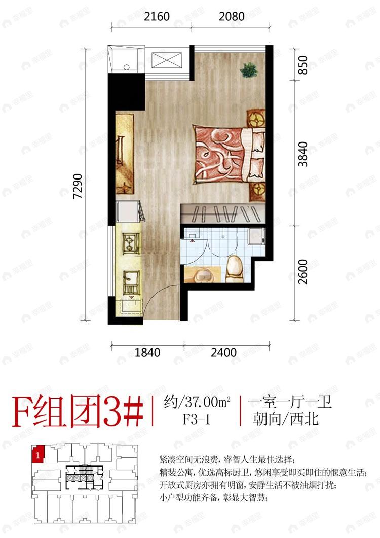 建面37平undefined户型图