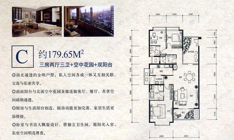 丹芙春城一期户型图