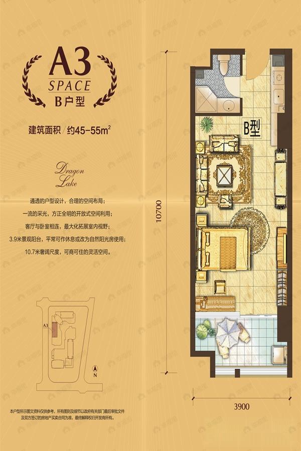1室1厅1卫建面55平户型图
