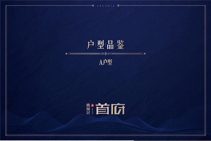 桃源居·首府3室2厅1卫户型图