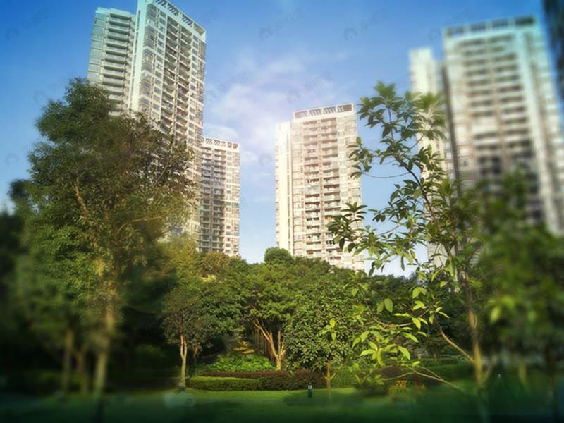 中亿阳明山水效果图