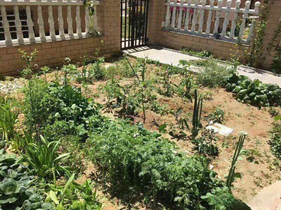 建源山海龙城效果图