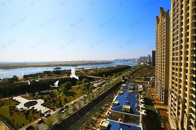 滨江3号二期效果图