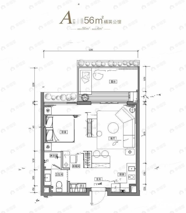 1室1厅1卫建面56平户型图