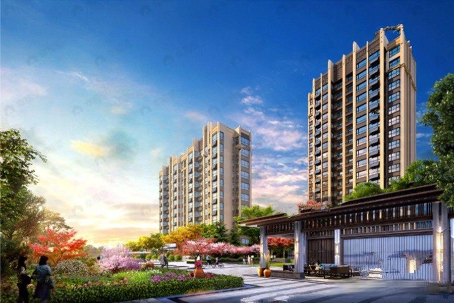 香橙效果图