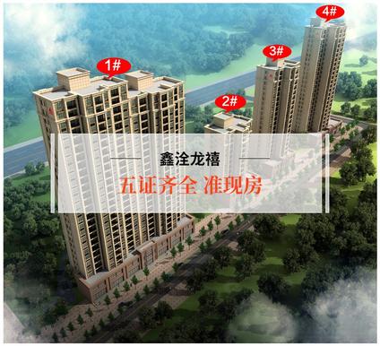 新乡鑫洤龙禧红旗 橄榄城/建面123平-130平