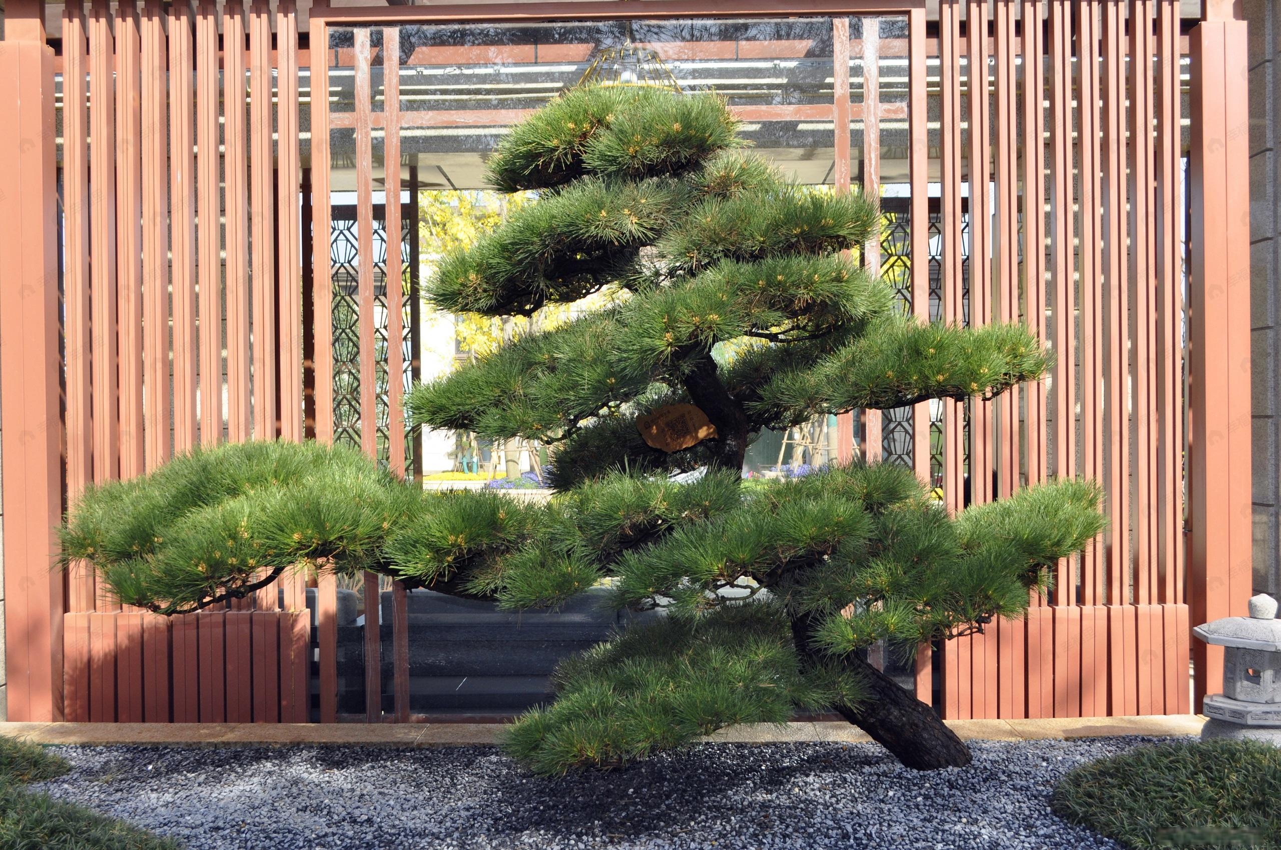 南阳恒大翡翠华庭效果图