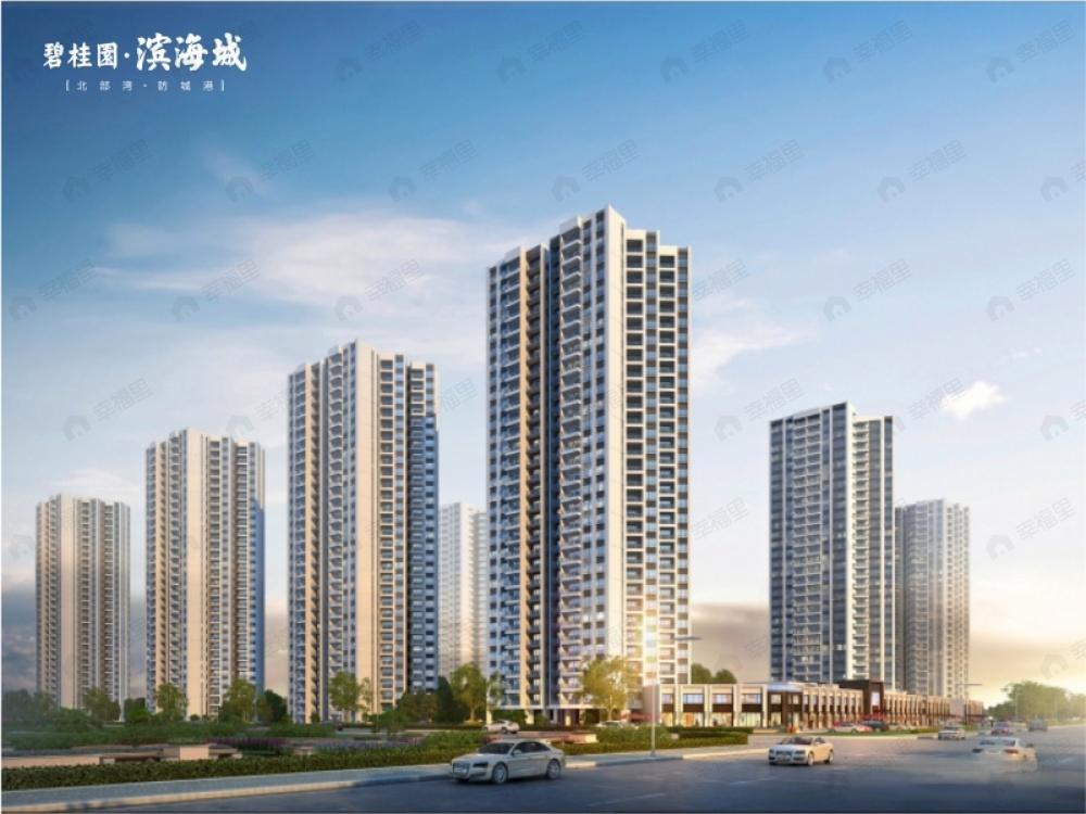 碧桂园滨海城效果图