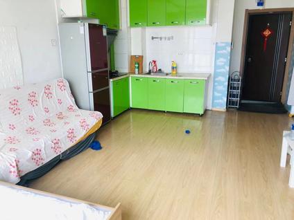 哈尔滨天合俊景(B区)1室1厅57.8平高楼层/共32层