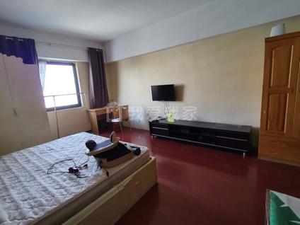 南京江宁万达广场1室1厅48平中楼层/共24层