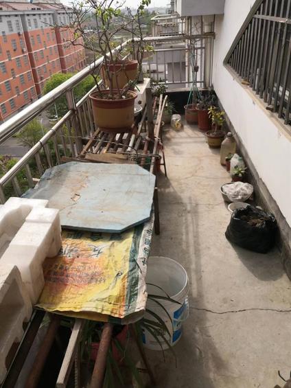 北京安仙莲花河社区4室2厅190平高楼层/共5层