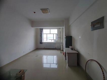 北京维多利喜悦广场1室0厅56平中楼层/共29层