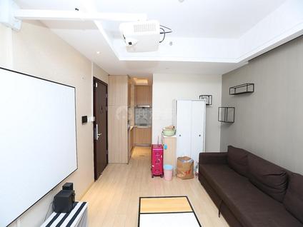 杭州理想银泰城1室1厅49.31平低楼层/共42层