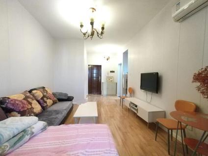 成都金海岸天府花园水城1室1厅50.59平中楼层/共11层