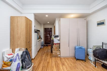 北京滨江宝龙城市广场1室1厅47.45平高楼层/共24层