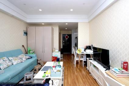 北京滨江宝龙城市广场1室1厅47.45平低楼层/共24层