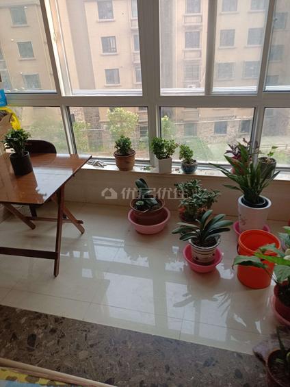 连云港映象西班牙3室2厅142平中楼层/共6层