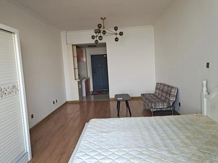 北京外滩香格里拉1室1厅50平高楼层/共29层