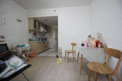 北京新城市广场1室1厅48.94平中楼层/共30层