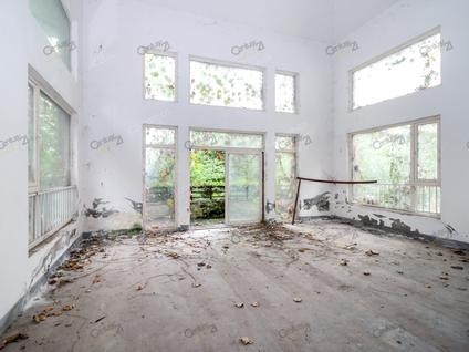 重庆棕榈泉国际花园(二期)4室3厅466.24平低楼层/共2层