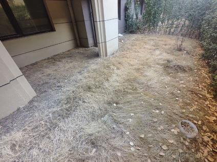 徐州高盛兰苑4室2厅109.91平低楼层/共6层