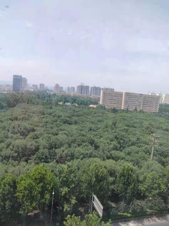 整租·齐华棕榈城