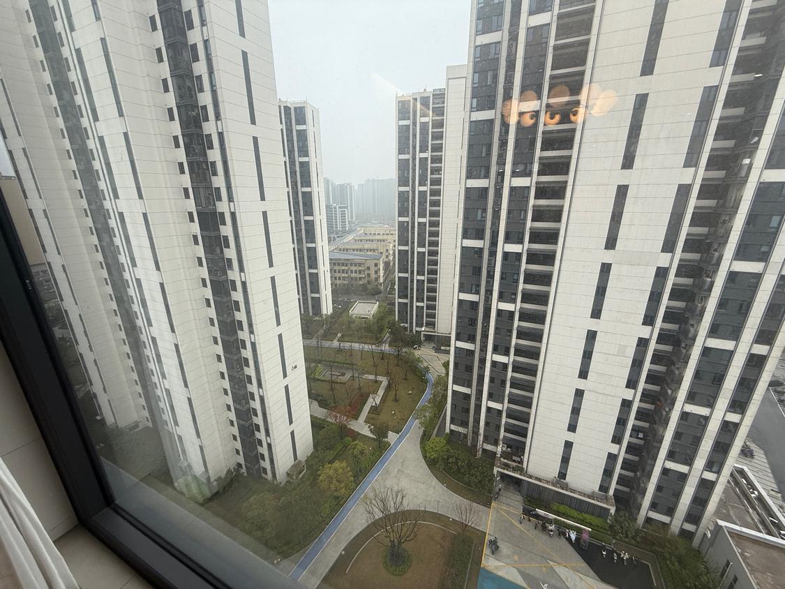 整租·望辰府小区