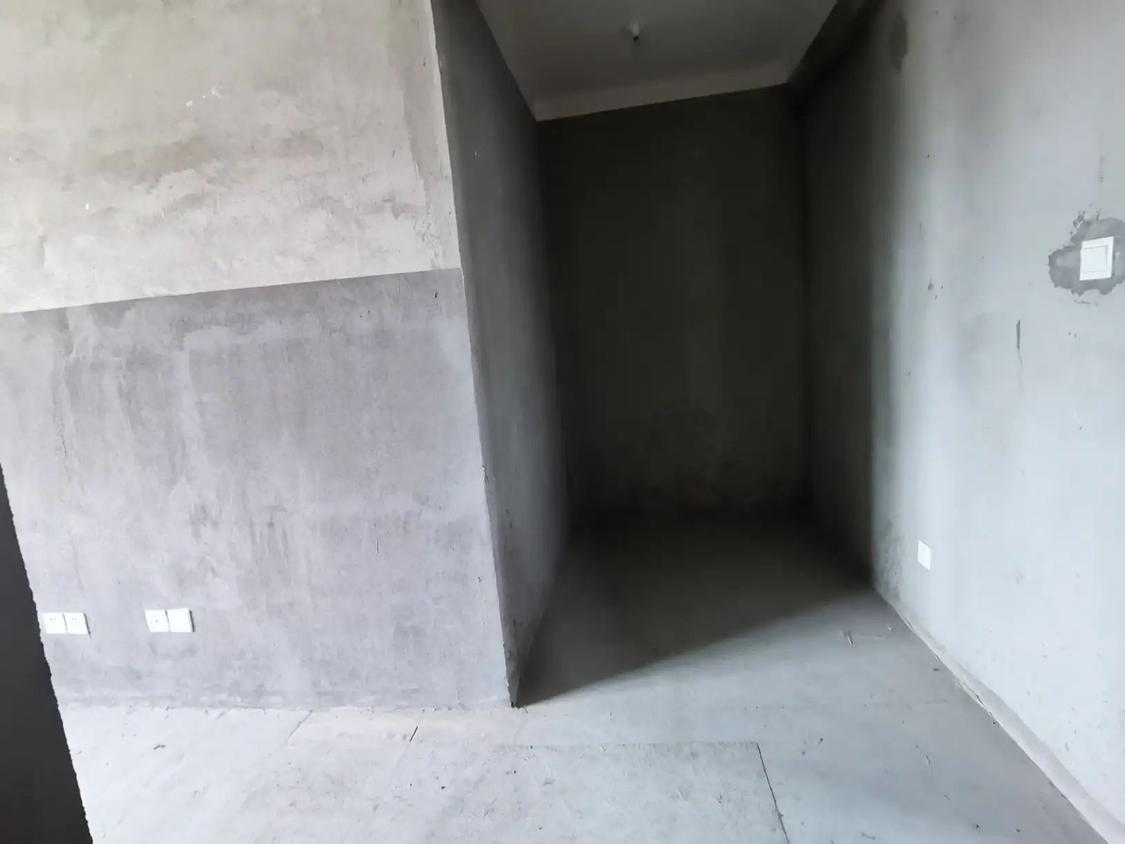 整租·新城玺樾府