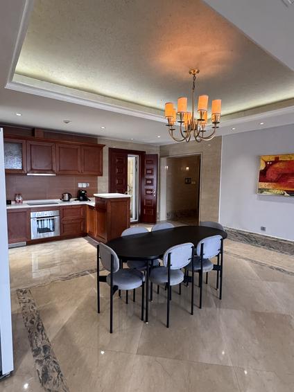 朝阳三元桥整租 远洋公馆4室2厅/266平/中楼层