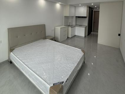 龙华金盘整租 龙湖光年1室0厅/50平/中楼层