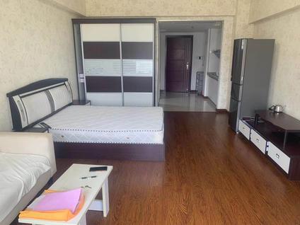 普陀真如整租 星河世纪城(MINI公馆)1室1厅/53平/低楼层