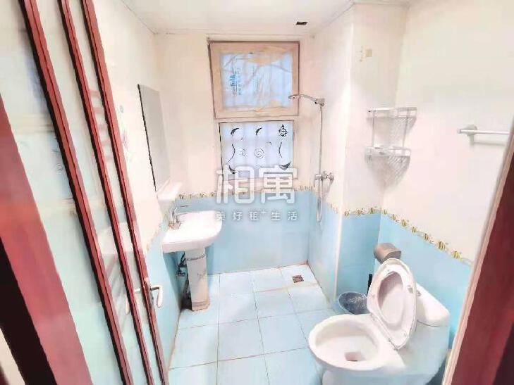 合租·金顶阳光