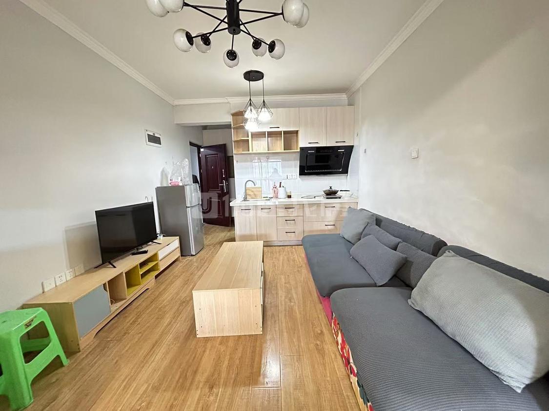 整租·龙都春天