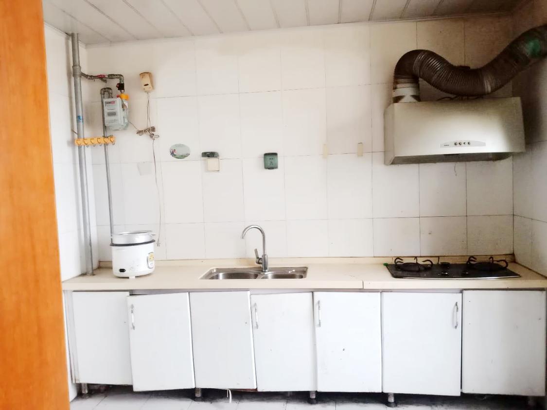 整租·鲁泽观天下