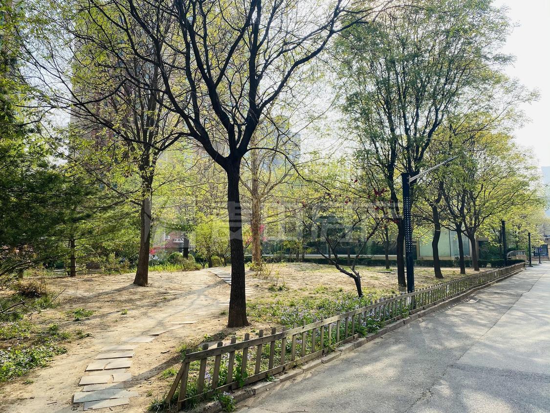 整租·都会华庭