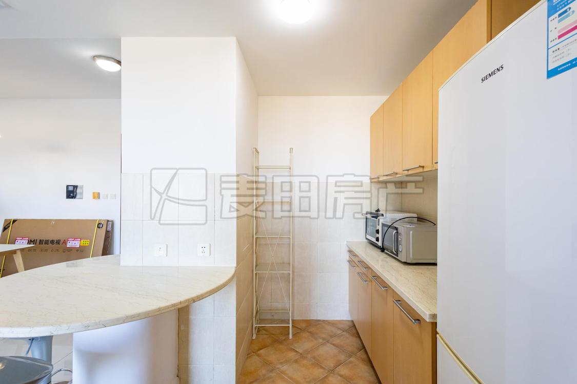 整租·公园大道