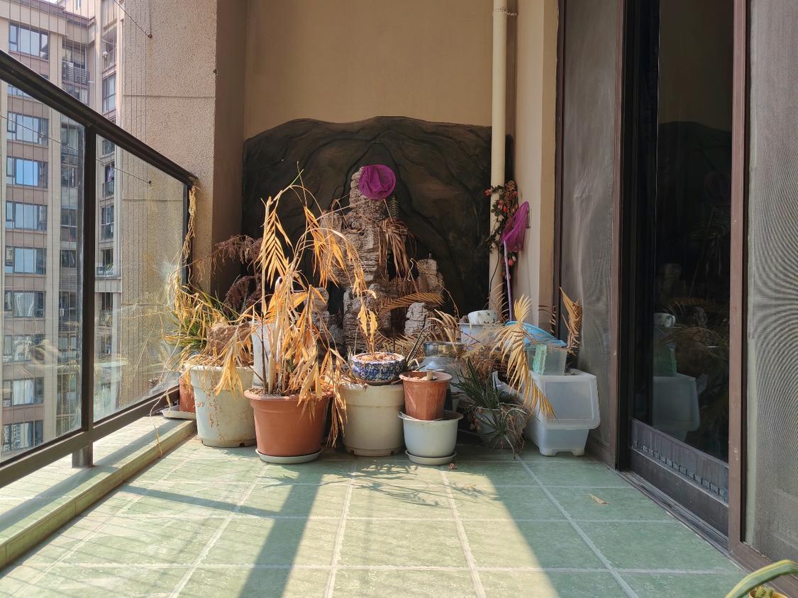 整租·鲁能星城(六街区)