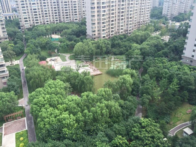 整租·中信新城(东区)