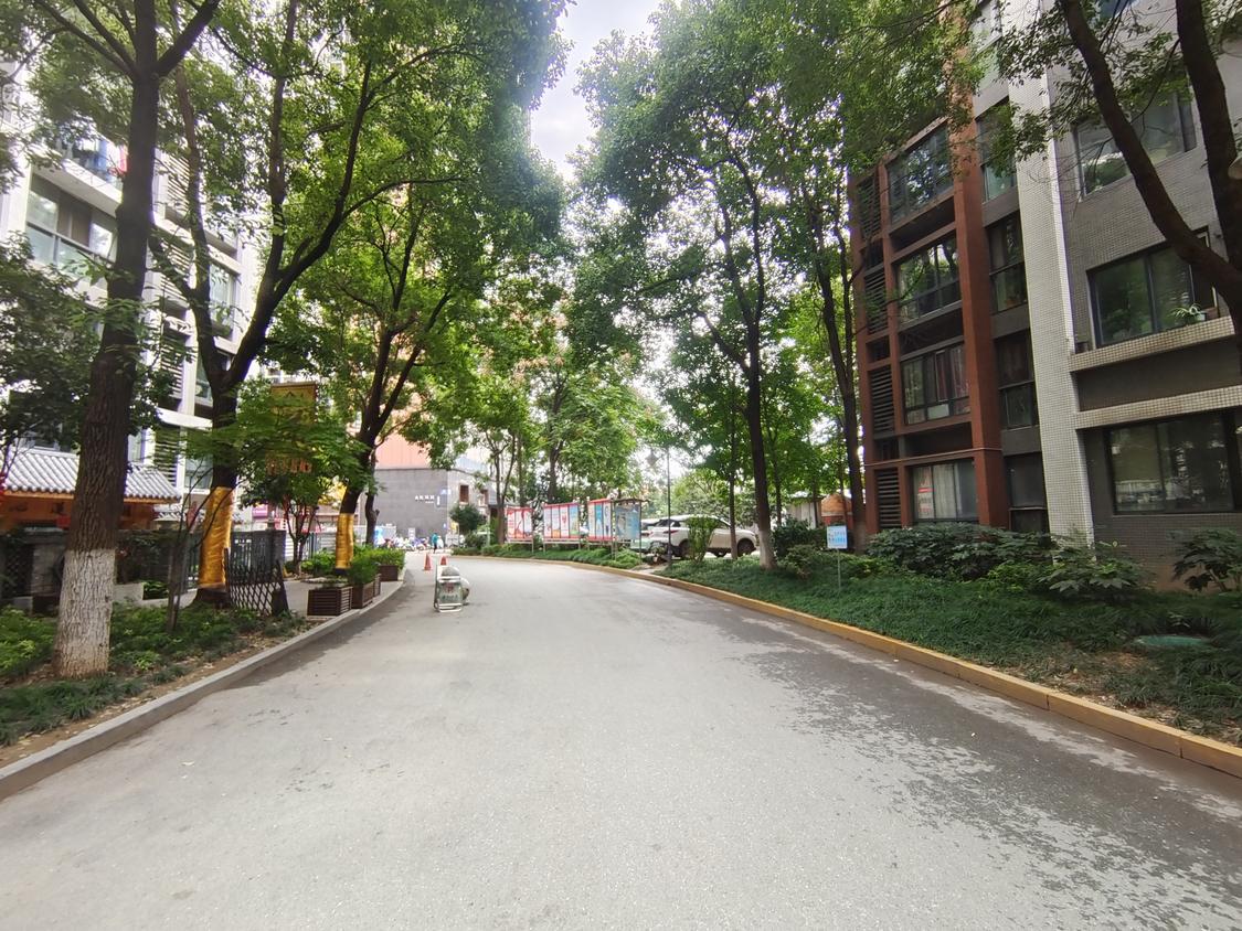 整租·荆沙人信城